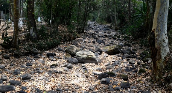 La escasa lluvia en la región durante los últimos meses ha provocado que el lecho del río Pixquiac, en su crece por Coatepec, lleve al menos 4 meses disminuyendo su cauce, al grado de presentar solo algunos estancamientos. 