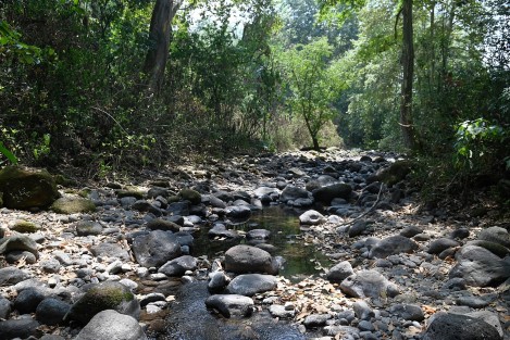 La escasa lluvia en la región durante los últimos meses ha provocado que el lecho del río Pixquiac, en su crece por Coatepec, lleve al menos 4 meses disminuyendo su cauce, al grado de presentar solo algunos estancamientos. 