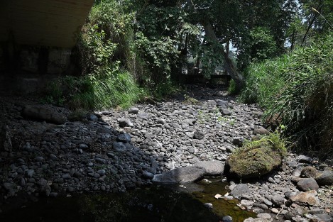 La escasa lluvia en la región durante los últimos meses ha provocado que el lecho del río Pixquiac, en su crece por Coatepec, lleve al menos 4 meses disminuyendo su cauce, al grado de presentar solo algunos estancamientos. 