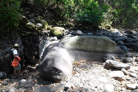 Este es  uno de los grandes abastecedor de agua para Xalapa, por ello no es de extrañar el problema de escasez que sufren gran parte de los capitalinos.  