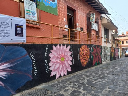 Agradable e ilustradora intervención en el callejón de González Ortega en el centro de la ciudad de Xalapa. Aunque es una lástima que se descuidara tanto la ortografía. 