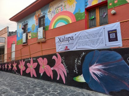 Agradable e ilustradora intervención en el callejón de González Ortega en el centro de la ciudad de Xalapa. Aunque es una lástima que se descuidara tanto la ortografía. 