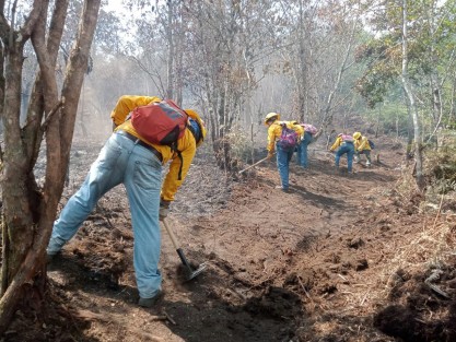Protección Civil del estado informa que el Comité Estatal de Manejo de Fuego coordina la atención a 17 incendios forestales registrados en el estado de Veracruz, incluyendo el incendio en Tlilalpan, con fuerzas de tarea de los 3 órdenes de gobierno así como brigadas voluntarias de las comunidades.