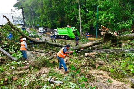  Derivado de las lluvias intensas asociadas a la tormenta tropical Alberto, personal de la Dirección de Protección Civil atendió diversos reportes ciudadanos de emergencia por anegamientos en vialidades, viviendas, un deslizamiento de tierra y la caída de árboles.