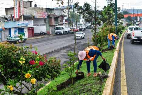También se llevó a cabo la 25 Jornada Comunitaria de Mantenimiento de Áreas Verdes en la colonia Herón Proal.