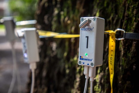 De acuerdo con la titular del área, Ana Isabel Guevara Escobar, con este equipo recién adquirido se podrá diagnosticar de manera interna el estado de los árboles, la madera y sus raíces, así como la estabilidad y pérdida de resistencia. 