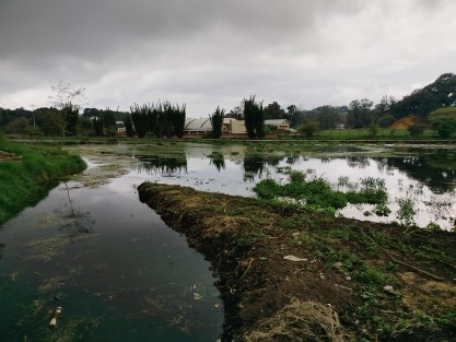 Así lucen las obras de rehabilitación del humedal del área natural protegida Molino de San Roque, el cual se encuentra justo atrás de la Secundaria 105. 