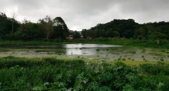 A decir de los trabajadores y vecinos, habrá un lago y un andador para el público general.