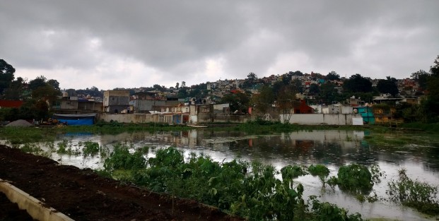Se espera incluso que se haga un paso de cortesía que atraviese de la colonia Jaramillo hacia el Fovissste.
