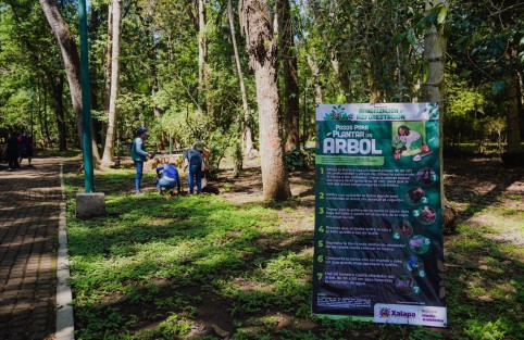 El H. Ayuntamiento de Xalapa, a través de la Dirección de Medio Ambiente y en colaboración con la ciudadanía, llevó a cabo la 2da. Jornada de Arborización y Reforestación 2024, con el objetivo de contribuir a la conservación del medio ambiente. 