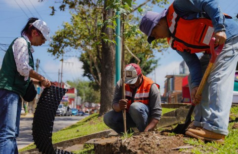 El H. Ayuntamiento de Xalapa, a través de la Dirección de Medio Ambiente y en colaboración con la ciudadanía, llevó a cabo la 2da. Jornada de Arborización y Reforestación 2024, con el objetivo de contribuir a la conservación del medio ambiente. 