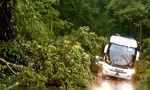 Deslave en el tramo Coscomatepec- Huatusco , en las primeras curvas yendo de Coscomatepec a Huatusco. Tome sus precauciones.