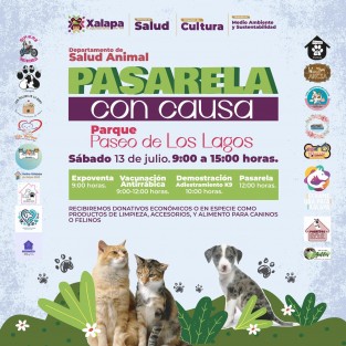 Las direcciones de Salud, a través del Departamento de Salud Animal, de Cultura y de Medio Ambiente, suman esfuerzos en este evento a beneficio de albergues y refugios para peluditos, participando en la Pasarela de adopción el próximo 13 de julio de 9:00 a 15:00 hrs en el Paseo de Los Lagos. 