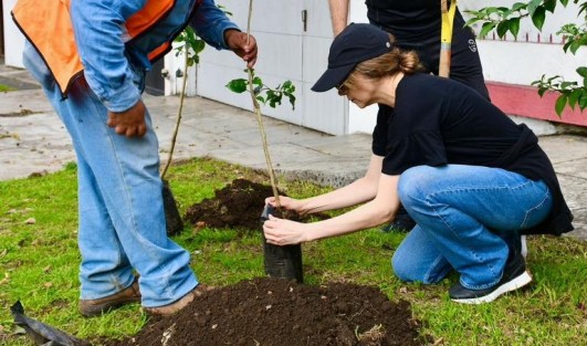 A través de la Dirección de Medio Ambiente y en colaboración con la ciudadanía, se llevó a cabo la 4ta. Jornada de Arborización y Reforestación 2024 en la avenida Orizaba, en el parque Paseo de las Palmas del Fraccionamiento Veracruz, así como en la calle Enrique Hernández Castillo, en la colonia Rafael Lucio.