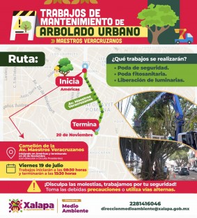 El Ayuntamiento de Xalapa informa que este viernes 19 de julio realizará trabajos de mantenimiento de arbolado, poda de seguridad, poda fitosanitaria y liberación de luminarias en Maestros Veracruzanos, iniciando en la avenida Américas con dirección a 20 de Noviembre a partir de las 8:30 horas. 