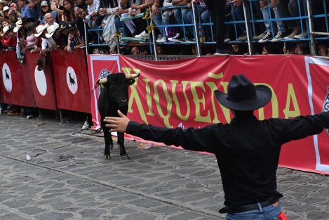 Como parte del festejo en honor a Santa María Magdalena,  se soltaron 16 toros por la calle principal del Pueblo Mágico, en la tradicional Xiqueñada.