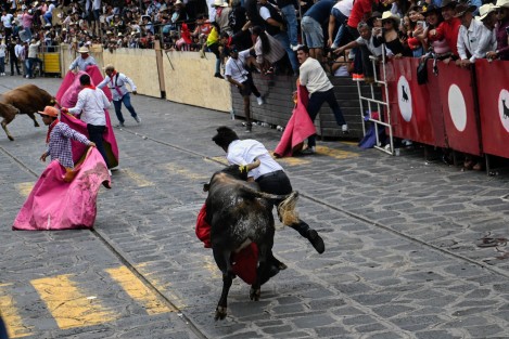 Como parte del festejo en honor a Santa María Magdalena, se soltaron 16 toros por la calle principal del Pueblo Mágico, en la tradicional Xiqueñada.