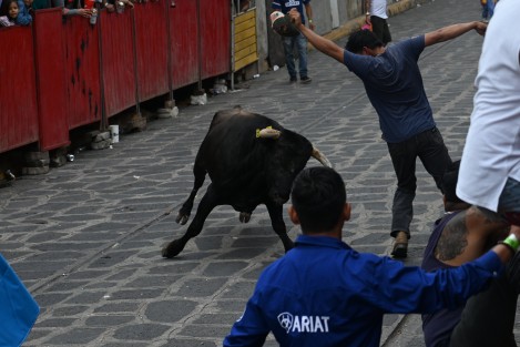 Como parte del festejo en honor a Santa María Magdalena, se soltaron 16 toros por la calle principal del Pueblo Mágico, en la tradicional Xiqueñada.