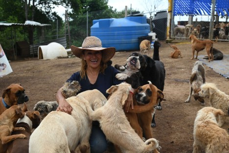 Edith Fernández, responsable del albergue de animales Ada Azul, informó que este martes llegaron al lugar Policía y la brigada de Bienestar Animal, Medio Ambiente y CMAS, para advertirle que deberá, junto con los inquilinos desalojar el predio. 