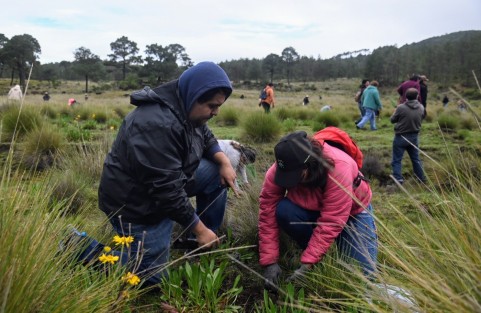 El la comunidad de Llanillo Redondo, municipio de Las Vigas, el gobernador Cuitláhuac García Jiménez encabezó la reforestación masiva Fabriquemos Agua Reforestando, misma que se replicó en 34 puntos más de la entidad veracruzana. Participaron pobladores  de la zona, funcionarios  y alumnos de los diferentes Tecnológicos de Veracruz.
