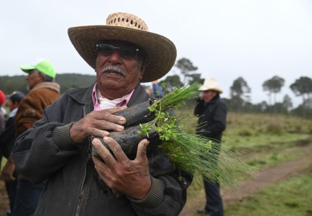 El la comunidad de Llanillo Redondo, municipio de Las Vigas, el gobernador Cuitláhuac García Jiménez encabezó la reforestación masiva Fabriquemos Agua Reforestando, misma que se replicó en 34 puntos más de la entidad veracruzana. Participaron pobladores de la zona, funcionarios y alumnos de los diferentes Tecnológicos de Veracruz. 