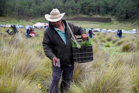 El la comunidad de Llanillo Redondo, municipio de Las Vigas, el gobernador Cuitláhuac García Jiménez encabezó la reforestación masiva Fabriquemos Agua Reforestando, misma que se replicó en 34 puntos más de la entidad veracruzana. Participaron pobladores de la zona, funcionarios y alumnos de los diferentes Tecnológicos de Veracruz. 