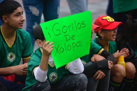 En la Plaza Lerdo, niños de la Escuela de futbol Gorilas Xalapa, junto con papás y entrenadores, protestaron por el cobro que les hacen en los lugares públicos donde entrenan.  Información e imagen: