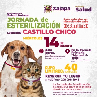 La Dirección de Salud, a través del Departamento de Salud Animal, los invita a participar en la Jornada de Esterilización felina y canina, exclusiva para habitantes de Castillo Chico, a realizarse el miércoles 14 de agosto.  Reservar su lugar al 228 298 6943.  