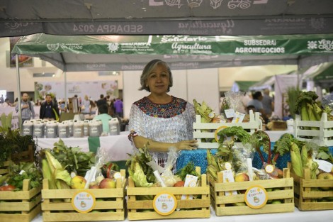 Fue inaugurada la Expo Agro Sustentable  Veracruz 2024 Cosechando Resultados en el World Trade Center de Boca del Río, que se llevará a cabo este jueves y mañana viernes con actividades como talleres, conferencias, venta de productos agro ecológicos y más. 