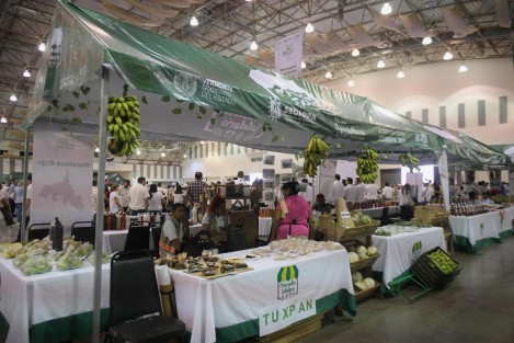 Fue inaugurada la Expo Agro Sustentable  Veracruz 2024 Cosechando Resultados en el World Trade Center de Boca del Río, que se llevará a cabo este jueves y mañana viernes con actividades como talleres, conferencias, venta de productos agro ecológicos y más. 