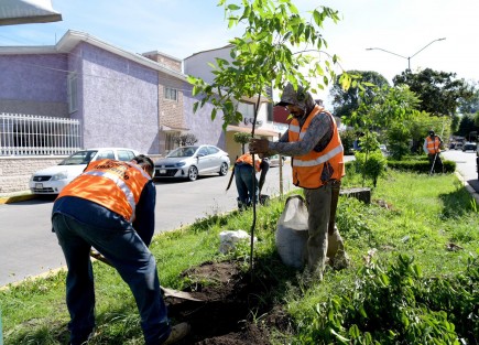 El Ayuntamiento de Xalapa llevó a cabo la 31° Jornada Comunitaria  de mantenimiento de áreas verdes para la conservación del medio ambiente, la mejora del paisaje urbano y la recuperación de espacios públicos para la convivencia social. Se intervino el área verde aledaña al edificio Xoloxtla, en Xalapa 2000; y se trabajó en el circuito María Velasco de la colonia Buena Vista.