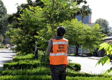 El Ayuntamiento de Xalapa llevó a cabo la 31° Jornada Comunitaria  de mantenimiento de áreas verdes para la conservación del medio ambiente, la mejora del paisaje urbano y la recuperación de espacios públicos para la convivencia social. Se intervino el área verde aledaña al edificio Xoloxtla, en Xalapa 2000; y se trabajó en el circuito María Velasco de la colonia Buena Vista.
