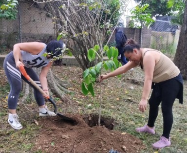 El Ayuntamiento de Xalapa llevó a cabo a 1a Jornada de Reforestación en Congregaciones con rotundo éxito. Más de 300 árboles fueron plantados este sábado en Julio Castro y El Tronconal, sumando mil 800 en toda la ciudad. 