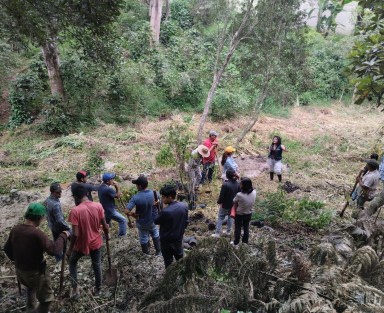 El Ayuntamiento de Xalapa llevó a cabo a 1a Jornada de Reforestación en Congregaciones con rotundo éxito. Más de 300 árboles fueron plantados este sábado en Julio Castro y El Tronconal, sumando mil 800 en toda la ciudad. 