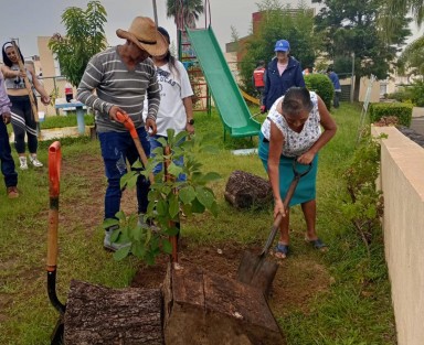 El Ayuntamiento de Xalapa llevó a cabo a 1a Jornada de Reforestación en Congregaciones con rotundo éxito. Más de 300 árboles fueron plantados este sábado en Julio Castro y El Tronconal, sumando mil 800 en toda la ciudad. 