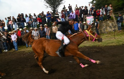 También realizan la tradicional danza de La Malinche, ejecutada por niñas y niños en el atrio de la iglesia como preámbulo a las tradicionales carreras de caballo.