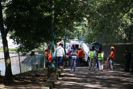 El cuerpo de un hombre de aproximadamente 45 años de edad, fue hallado flotando en el segundo lago de El Dique en la ciudad de Xalapa. A  decir de los testigos, el hoy occiso vivía en la colonia Felipe Carrillo Puerto y era conocido como El Negro.