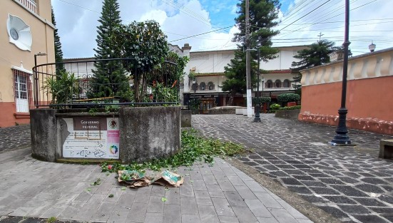 Trabajadores municipales de Parques y Jardines constantemente dan mantenimiento a las áreas verdes; sin embargo es sorprendente la cantidad y clase de basura que encuentran en dichos espacios. 