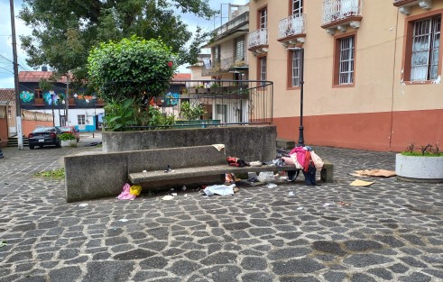 Trabajadores municipales de Parques y Jardines constantemente dan mantenimiento a las áreas verdes; sin embargo es sorprendente la cantidad y clase de basura que encuentran en dichos espacios. 