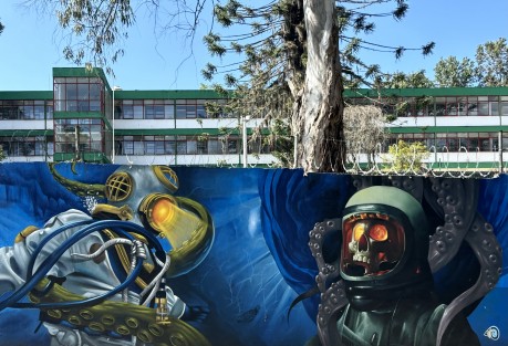 La ciudad se transforma, y los espacios otrora abiertos de la Zona Universitaria en Xalapa, Ver. se han amurallado. Estacionamientos exclusivos. Escuelas bardeadas, con murales para que no se confundan con el Muro de Berlín. Y ya no rondan por ahí ni las vacas ni los caballos, como en los 80s.