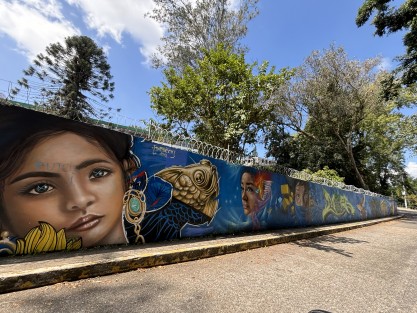 La ciudad se transforma, y los espacios otrora abiertos de la Zona Universitaria en Xalapa, Ver. se han amurallado. Estacionamientos exclusivos. Escuelas bardeadas, con murales para que no se confundan con el Muro de Berlín. Y ya no rondan por ahí ni las vacas ni los caballos, como en los 80s.