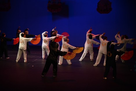 En el Teatro del Estado, se celebró el Festival de las Personas Adultas Mayores de la Estancia Garnica, donde se lucieron con actividades que realizan así como coreografías. Asistió como invitado especial el gobernador Cuitláhuac García y  Daniela Griego Ceballos directora del IPE