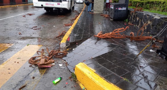 Ramas y objetos tirados en las calles de Xalapa, de lo que el viento de la noche madrugada de este sábado-domingo dejó en Xalapa, sin faltar los clásicos calzones que salieron volando. 