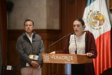 La titular de PC en la entidad, Guadalupe Osorno Maldonado informó que los planes DN-III-E y Tajín están activados en los municipios afectados por las lluvias de la depresión tropical 11-E, con la instrucción de evaluar los riesgos para la actividad escolar, siendo la autoridad competente la que determine una eventual suspensión.
