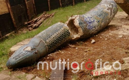  Las preguntas que siguen sin respuesta de parte de las autoridades . ¿le ve usted cuernos de venado a esta culebra? ¿Pertenece a algún funcionario la Constructora Destructora Dalia? ¿Cuál era la especialidad de los trabajadores que corrieron por culpa de quien dio una orden sin supervisar su cumplimiento?