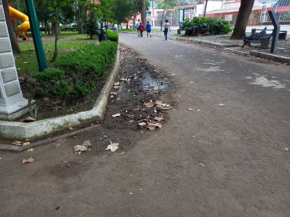 Debido a la falta de limpieza de los canales de drenaje en el parque Los Berros, varias zonas están siendo invadidas por la tierra, tornándose en lodazales con las lluvias. No estaría de más un tequio, si es que  el personal de mantenimiento del parque no se da abasto. 