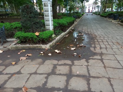 Debido a la falta de limpieza de los canales de drenaje en el parque Los Berros, varias zonas están siendo invadidas por la tierra, tornándose en lodazales con las lluvias. No estaría de más un tequio, si es que  el personal de mantenimiento del parque no se da abasto. 