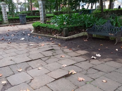 Debido a la falta de limpieza de los canales de drenaje en el parque Los Berros, varias zonas están siendo invadidas por la tierra, tornándose en lodazales con las lluvias. No estaría de más un tequio, si es que  el personal de mantenimiento del parque no se da abasto. 