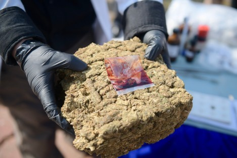 En apego a la normativa, fueron incineradas 6 toneladas 937 kilos de marihuana, un kilo 187 gramos de clorhidrato de metanfetamina, 356 miligramos de cocaína, 15 miligramos de clorhidrato de cocaína, seis tabletas de clonazepam y 2 kilos 464 gramos de sustancias negativas.