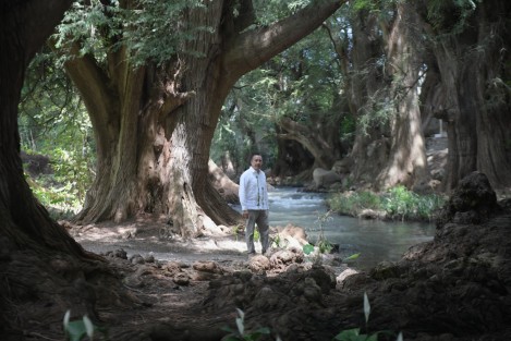 Viejos del agua, majestuosos guardianes de la historia y responsables del florecimiento industrial del Valle de Orizaba en los siglos XIX y XX, hoy patrimonio ecológico y nuevo espacio de turismo y conservación, la Ciudad de los Ahuehuetes fue inaugurada este miércoles por el gobernador Cuitláhuac García Jiménez.